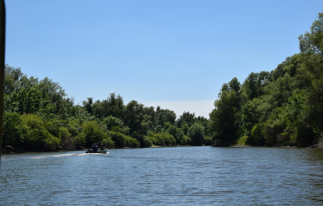 Birdwatching in Nature Park Kopacki rit, North-East Croatia